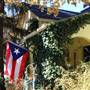 Nineteenth Century Avenues Home