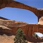 Arches National Park
