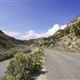 Spring Canyon Road