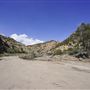 Spring Canyon Road