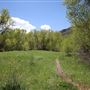Big Springs Trail