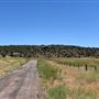 Kanab
