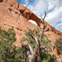 Arches National Park