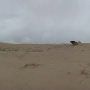 Little Sahara Sand Dunes