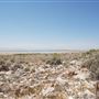 Antelope Island State Park - Summer
