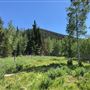 Thousand Peaks Ranch - Summer