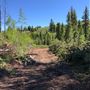 Thousand Peaks Ranch - Summer