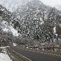 Big Cottonwood Canyon - Snow