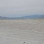 Bonneville Salt Flats