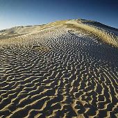 Little Sahara Sand Dunes