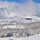 Huntsville Winter