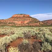 Bunting Canyon