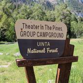 Theater In The Pines