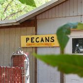 Thompson Family Pecan Farm