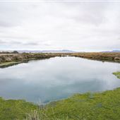 Horseshoe Springs