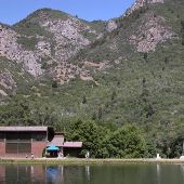 Camp Maple Dell
