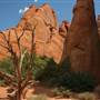 Arches National Park