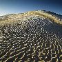 Little Sahara Sand Dunes