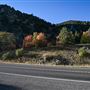 Logan Canyon
