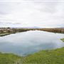 Horseshoe Springs