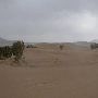 Little Sahara Sand Dunes