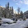 Snowbird Ski and Summer Resort - Winter