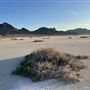Bonneville Salt Flats