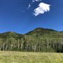 Thousand Peaks Ranch - Summer
