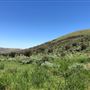 Thousand Peaks Ranch - Summer
