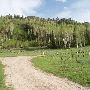 Thousand Peaks Ranch - Summer
