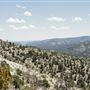 Sowers Canyon