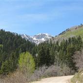 Snake Creek Canyon