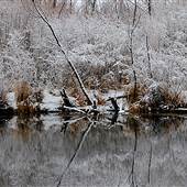 Provo Canyon- Winter