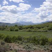 Liberty Ranch