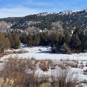 Conn Ranch