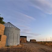 Holmgren Brothers Farm