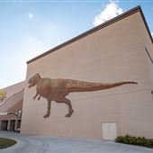 Mountain America Museum of Ancient Life