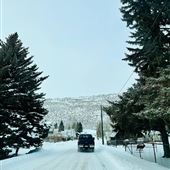 Scofield - Winter