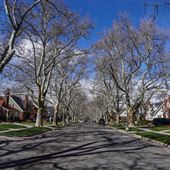 Michigan Avenue Neighborhood