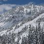 Snowbird Ski and Summer Resort - Winter