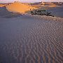 Little Sahara Sand Dunes
