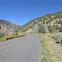 Ophir Canyon Road