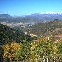 Highway 31-Autumn