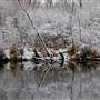 Provo Canyon- Winter
