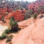 Red Canyon Peekaboo/Peek A Boo