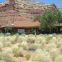 Valley of the Gods Bed and Breakfast