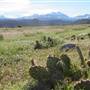 La Sal Loop Road