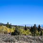 Logan Canyon