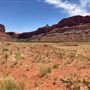 The Land