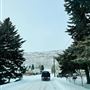 Scofield - Winter